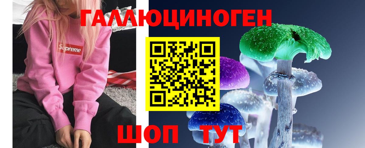Полысаево  Псилоцибиновые грибы MAGIC MUSHROOMS  Вход с VPN 